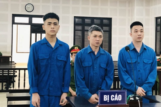 Cấu kết tội phạm nước ngoài chiếm đoạt tài sản người Việt