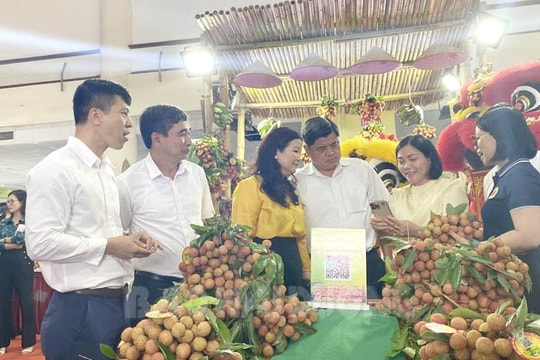 Thanh Hà chủ động xúc tiến tiêu thụ vải thiều