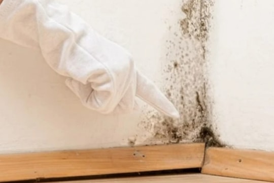 Cách xử lý tường bị nấm mốc đơn giản, ít tốn kém