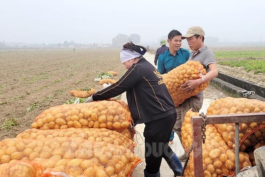 Tứ Kỳ phấn đấu hạ tỷ lệ hộ nghèo còn 1,3%