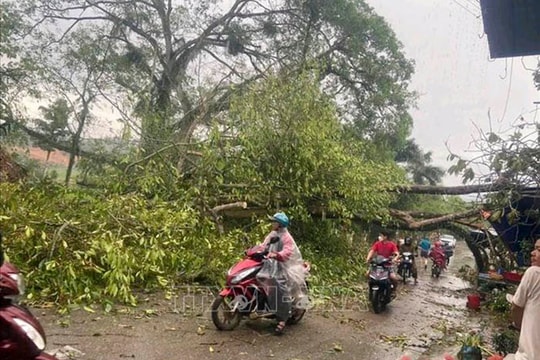 Không khí lạnh tăng cường gây mưa dông