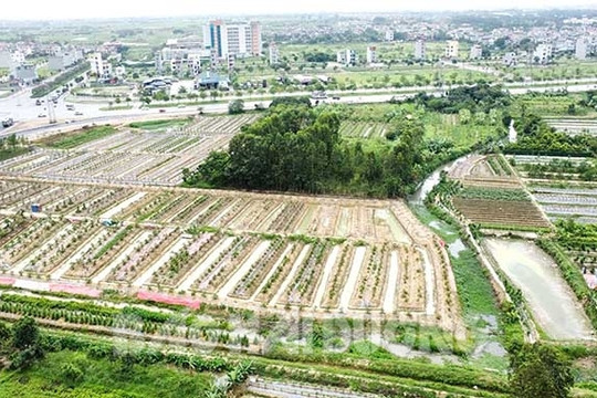 [Audio] Dự án khu liên hợp thể thao vướng ở đâu?