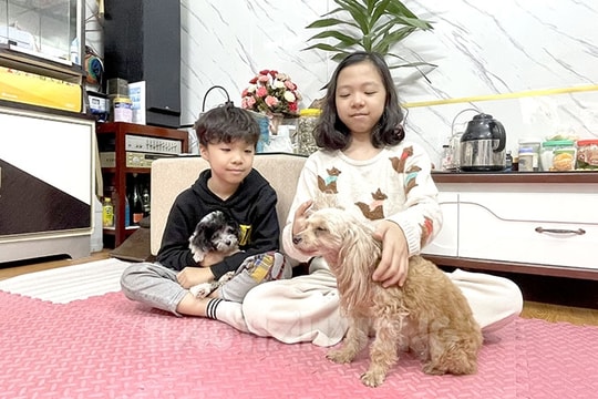 Dạy thế nào để con trẻ  yêu thương động vật?
