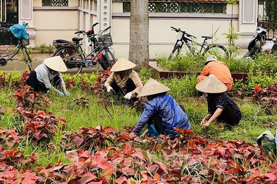 Nhiều hoạt động kỷ niệm 133 năm ngày sinh Chủ tịch Hồ Chí Minh