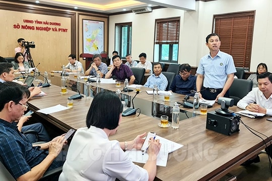 Giảm 1.000 ha lúa mùa