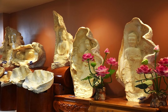 Bộ sưu tập điêu khắc tượng Phật trên vỏ ốc Trường Sa xác lập kỷ lục Việt Nam