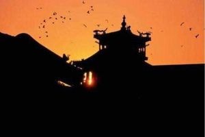 Cứ tới nửa đêm, Tử Cấm Thành lại đầy quạ