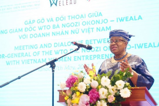 Tổng Giám đốc WTO gặp gỡ và đối thoại với các nữ doanh nhân Việt