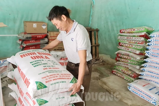Giá vật tư, phân bón giảm mạnh