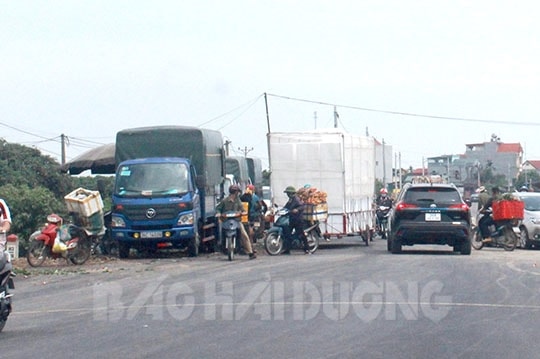 Bảo đảm an toàn giao thông trong mùa thu hoạch vải thiều
