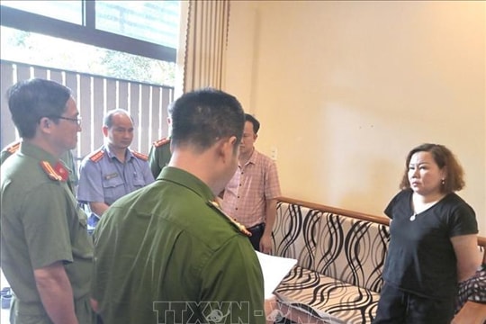 Khởi tố, bắt tạm giam nữ giám đốc trốn thuế hơn 3,5 tỷ đồng