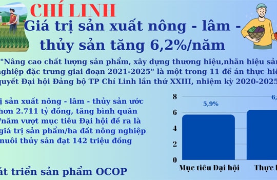 [Đồ họa] Giá trị sản xuất nông - lâm - thủy sản Chí Linh tăng 6,2%/năm