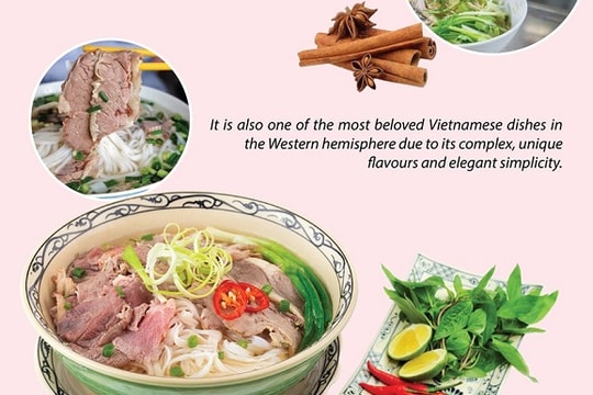 [Infographic] Vietnamese pho among world’s 100 most popular dishes