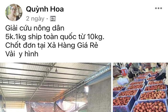 Thông tin sai về giá vải trên Facebook