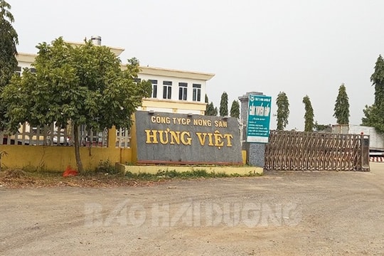 Tạm ngừng xét xử vụ mâu thuẫn nội bộ Công ty Hưng Việt