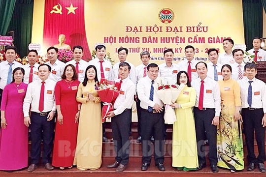 Hội Nông dân Cẩm Giàng chú trọng xây dựng các loại hình kinh tế tập thể