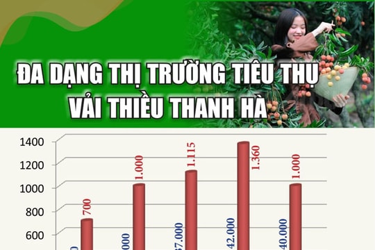 [Đồ họa] Đa dạng thị trường tiêu thụ vải thiều Thanh Hà 