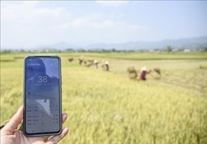 Chỉ số tia cực tím tại nhiều nơi có nguy cơ gây hại rất cao