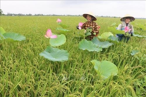 Tháng năm về...