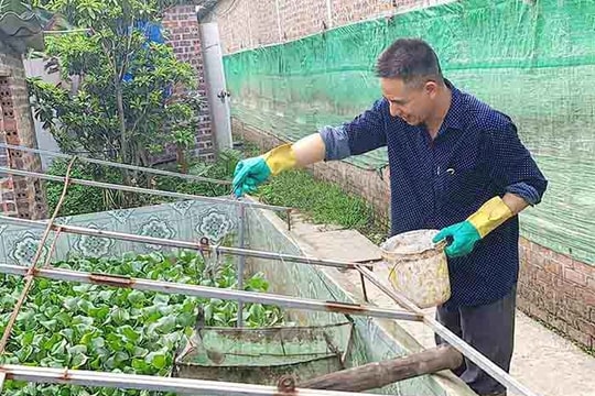 [Audio] Chăn nuôi sạch để bảo vệ môi trường