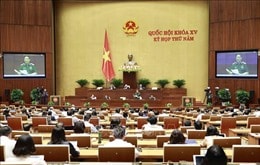 Luật cần cụ thể hơn quyền và biện pháp bảo vệ quyền lợi người tiêu dùng