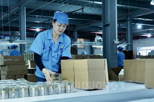 Plus points in Chi Linh’s industrial development