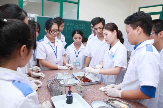 Cần làm rõ về sự cần thiết đưa môn văn vào xét tuyển chuyên ngành y khoa