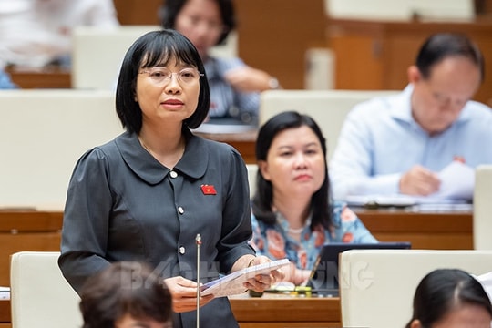 Kinh phí giám sát quá ít, Đoàn Đại biểu Quốc hội tỉnh khó mời chuyên gia