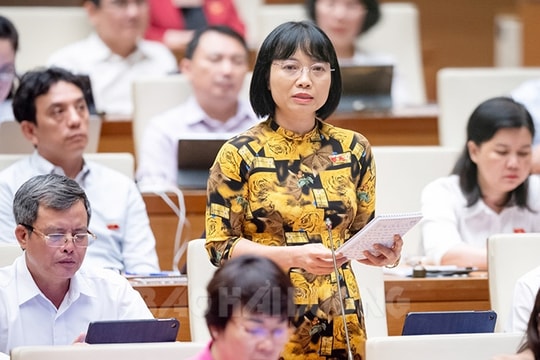 67,2% số người cao tuổi sức khỏe yếu và rất yếu