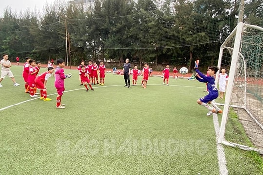 U11 Gia Bảo Hải Dương nằm ở bảng đấu bất lợi