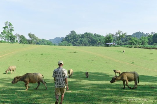 Thảo nguyên mới nổi cách Hà Nội 120km hút khách cắm trại, tránh nóng cuối tuần