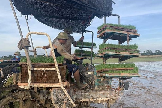 [Audio] Bình Giang đi đầu trong cơ giới hóa nông nghiệp