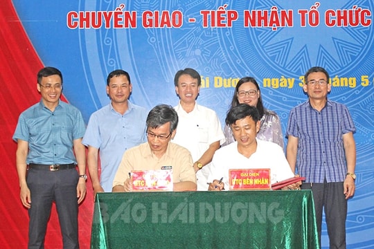 Chuyển giao Đảng bộ Trường Đại học Hải Dương về Đảng bộ Khối các cơ quan tỉnh