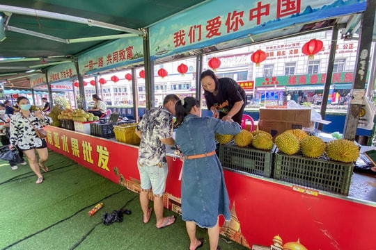 Sầu riêng Việt Nam bùng nổ mạnh ở Trung Quốc