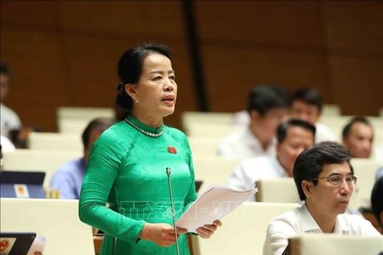 Tự chủ giáo dục đại học, đổi mới chương trình, sách giáo khoa cần mang tính chiến lược