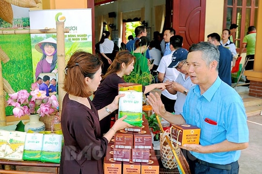 Tứ Kỳ bàn giải pháp nâng cao giá trị vùng khai thác rươi, cáy, sản xuất nông nghiệp hữu cơ