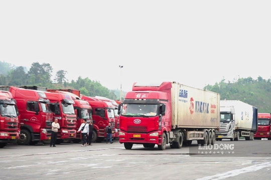 ​Điều tiết hợp lý để tránh ùn ứ hàng hóa tại cửa khẩu các tỉnh phía Bắc