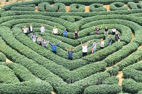 Du lịch hè nội địa ảm đạm