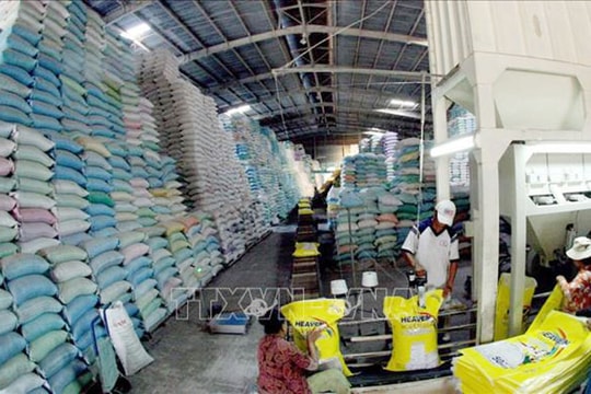 Tổng cục Dự trữ Nhà nước đấu thầu mua 220.000 tấn gạo 