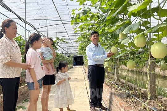 Chi Lăng Nam phát triển nông nghiệp sạch gắn du lịch