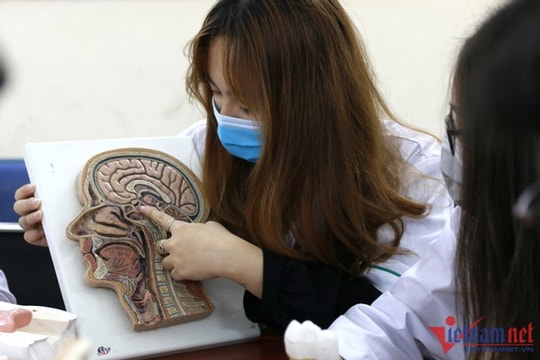 Học phí Đại học Y Hà Nội tăng gấp 3,5 lần