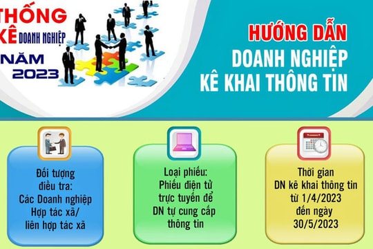 96,3% số doanh nghiệp hoàn thành kê khai thông tin điều tra