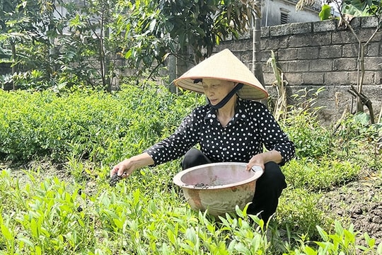 Lợi ích phân loại rác thải tại gia đình ở Kim Thành 