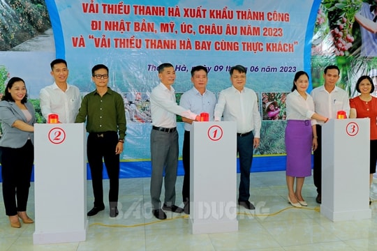 Vải thiều Thanh Hà có trong suất ăn của Vietnam Airlines
