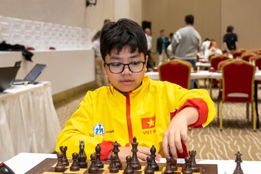 Vietnamese junior chess masters bag golds at world championships
