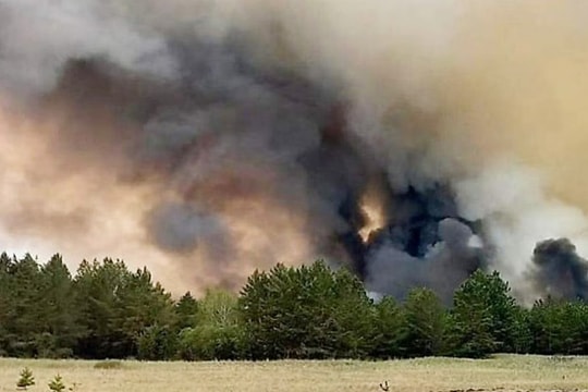 Cháy rừng tại Kazakhstan làm nhiều người thiệt mạng và mất tích