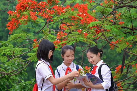 Mùa hạ ơi mùa hạ
