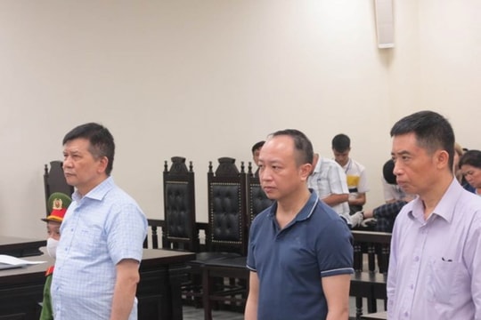 Gây thất thoát tài sản, cựu Chủ tịch VEAM lãnh thêm án tù