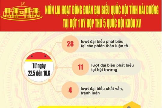 [Đồ hoạ] Hoạt động sôi nổi của Đoàn Đại biểu Quốc hội tỉnh Hải Dương tại đợt 1 Kỳ họp thứ 5