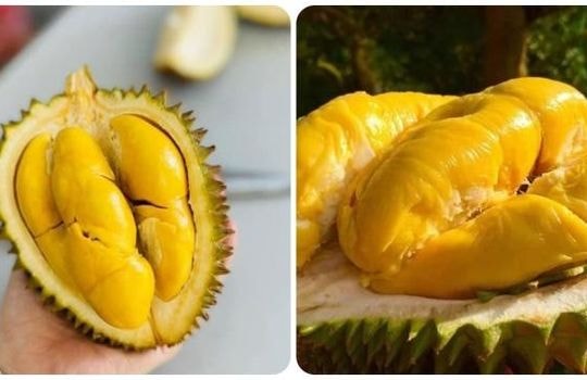 Ăn sầu riêng có nóng không?